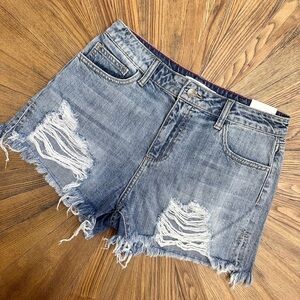 Cello Denim Shorts